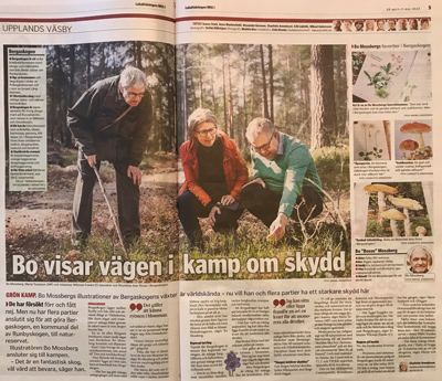 Tidningsartikel Mitti Bo Mossberg, skydd av Bergaskogen